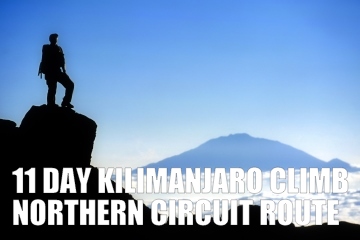 11DAYKILIMANJAROCLIMBNORTHERNROUTE