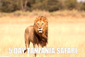 5DAYTANZANIASAFARI5